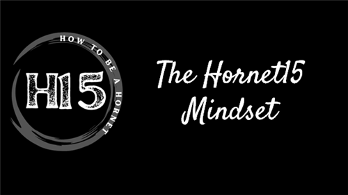 Hornet15